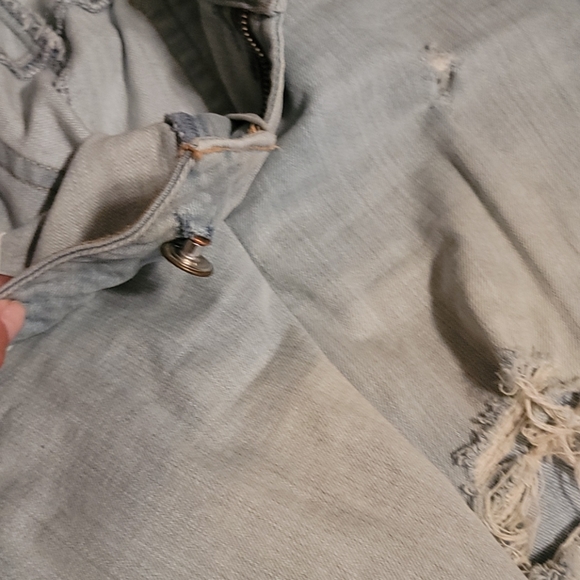 American eagle - Picture 3 of 3